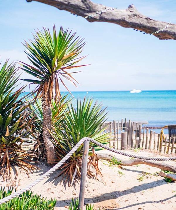 Le Migon - Restaurant Ramatuelle - bon restaurant RAMATUELLE